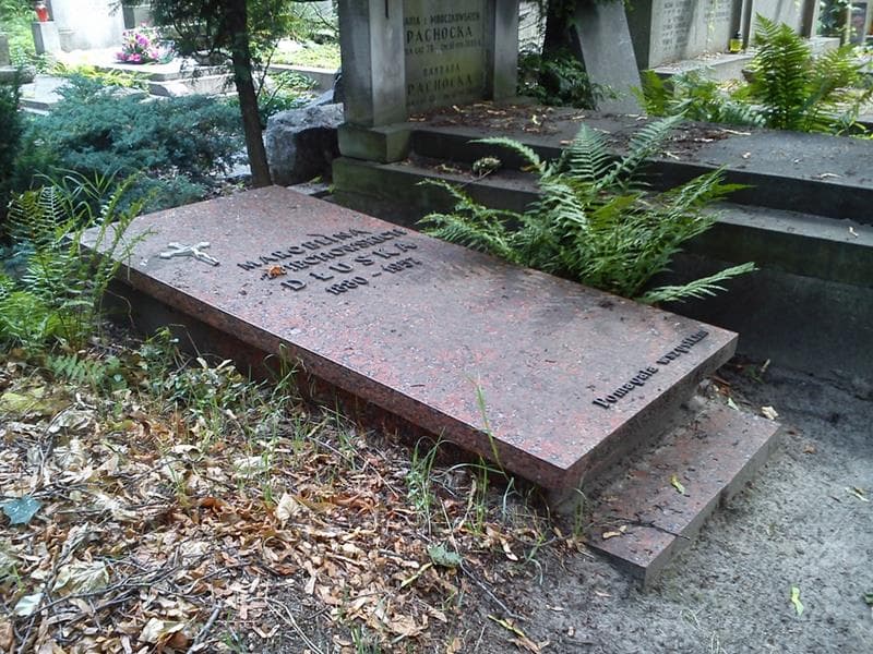 Zdjęcie grobu: Marcelina Dłuska