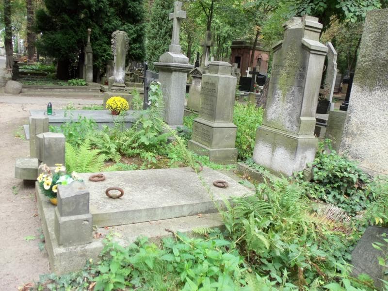 Zdjęcie grobu Michał Bronisz-Makowski (1)