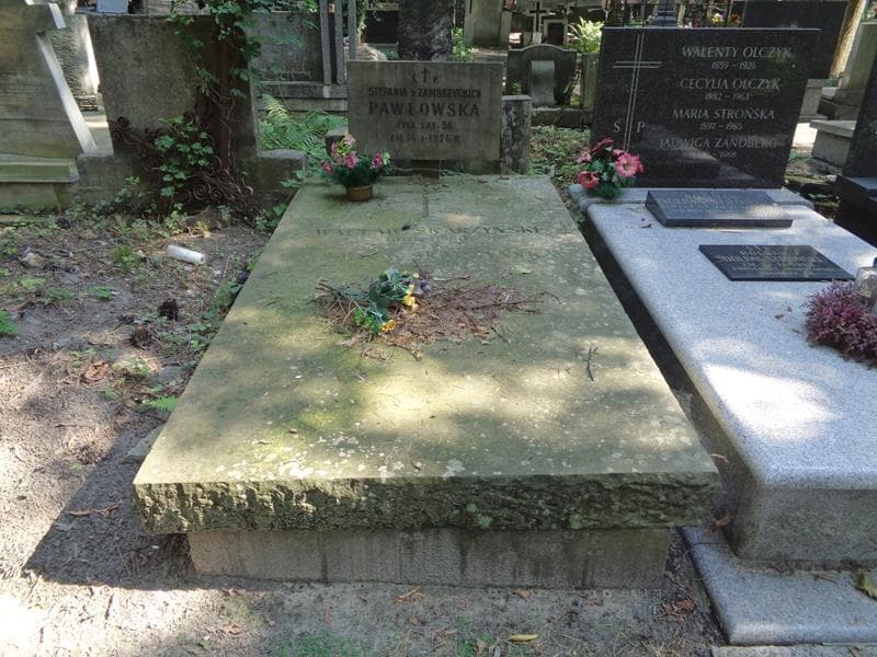 Zdjęcie grobu Stefania Pawłowska (1)
