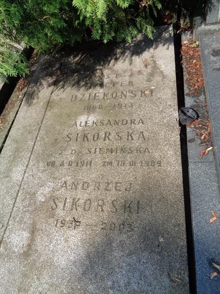 Zdjęcie grobu Kacper Dziekoński (2)