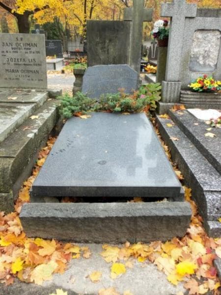 Zdjęcie grobu: Feliks Wasilewski