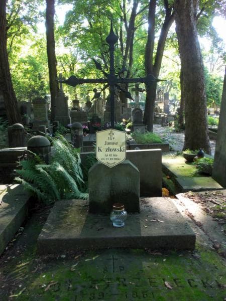 Zdjęcie grobu Władysława Kozłowska (2)