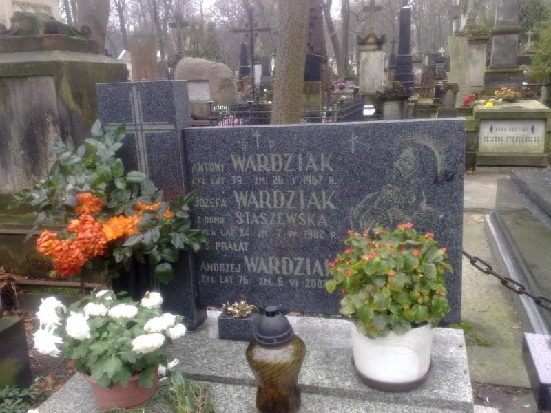 Zdjęcie grobu Józefa Wardziak (1)