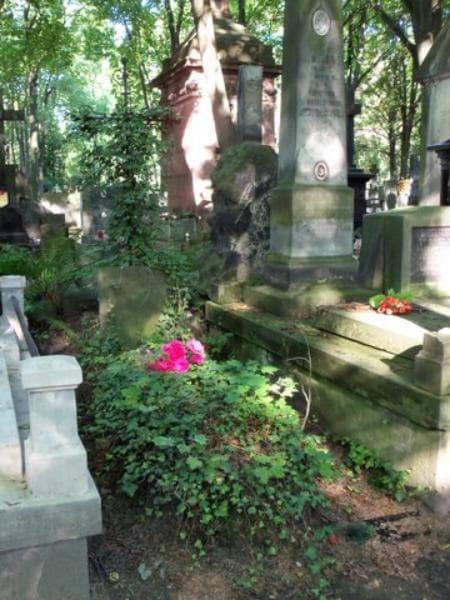 Zdjęcie grobu Ksawery Ossowski (1)