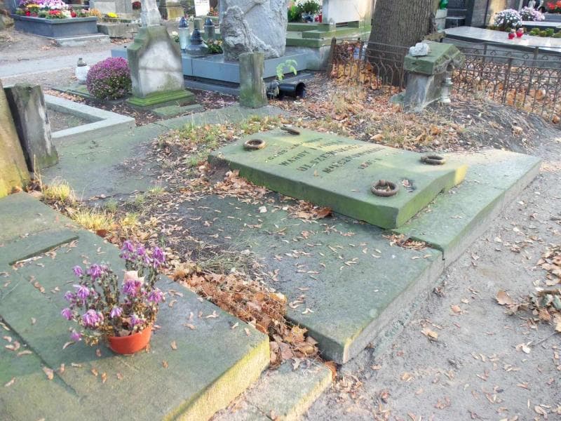 Zdjęcie grobu Olszewscy (1)