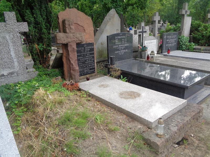Zdjęcie grobu: Halina Pawłowska