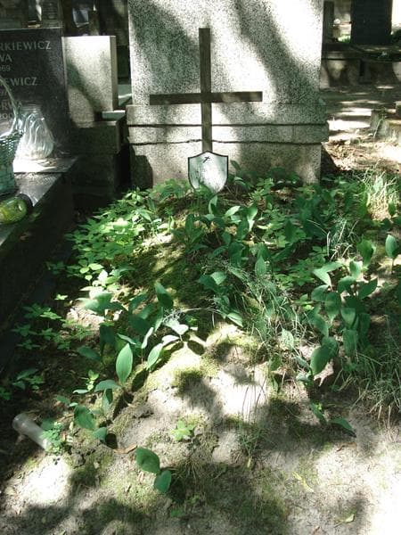 Zdjęcie grobu: Jadwiga Pawlak