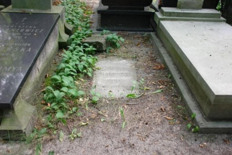 Zdjęcie grobu: Mieczysław Malewski