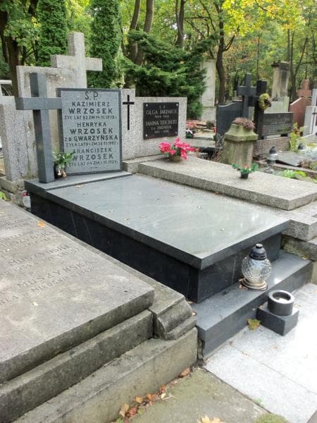Zdjęcie grobu Kazimierz Wrzosek (1)