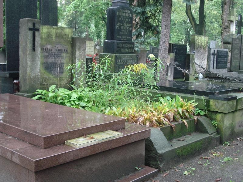Zdjęcie grobu Stanisław Bartnicki (1)