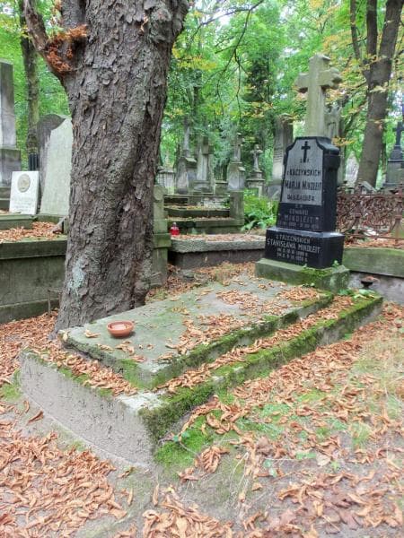 Zdjęcie grobu Edward Mikoleit (1)