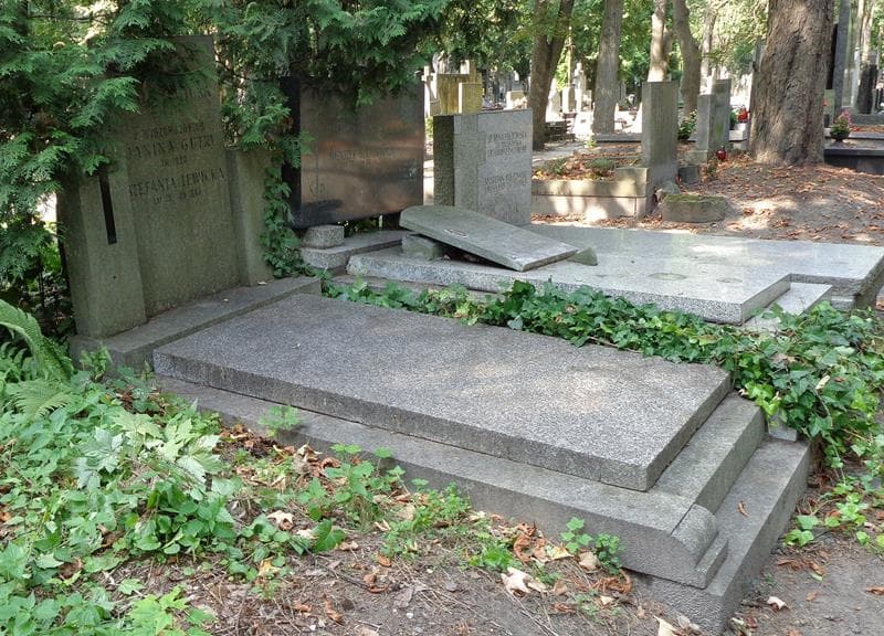 Zdjęcie grobu: Stefania Lewicka