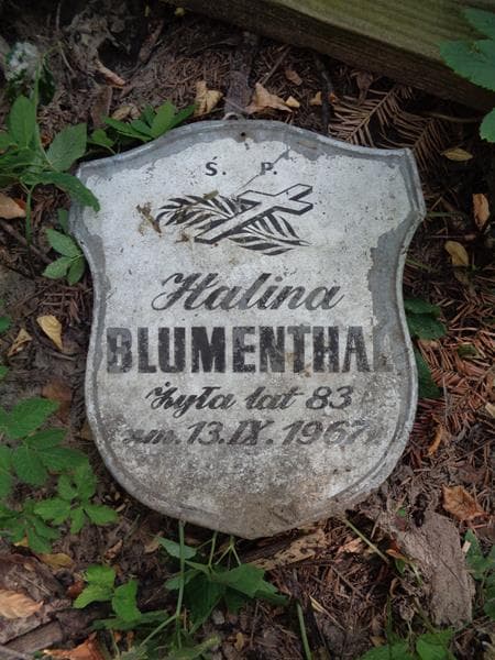 Zdjęcie grobu Anonim / Halina Blumenthal (2)