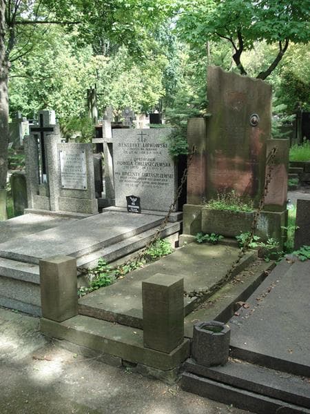 Zdjęcie grobu Aniela Stępowska (1)