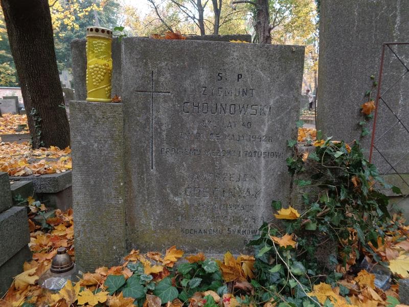 Zdjęcie grobu Zygmunt Chojnowski (2)