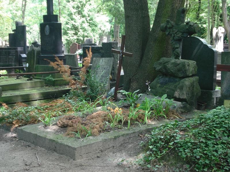 Zdjęcie grobu Jan Brzeżański (1)