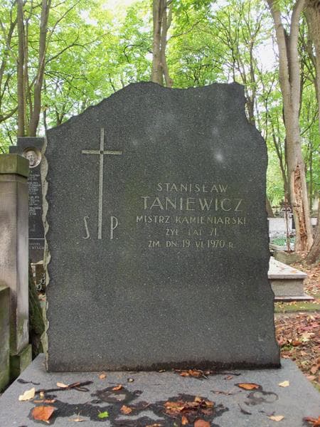 Zdjęcie grobu Stanisław Taniewicz (2)