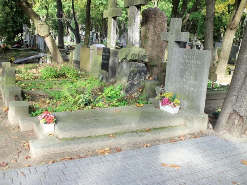 Zdjęcie grobu Henryk Dłużniewski (1)