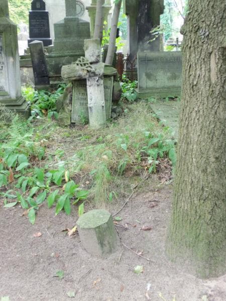 Zdjęcie grobu: Józef Trzeciecki