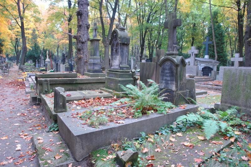 Zdjęcie grobu Emilia Ludwig (1)