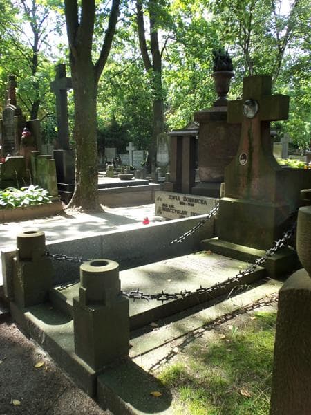 Zdjęcie grobu Lucyna David (1)