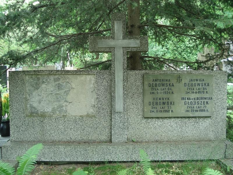 Zdjęcie grobu Antonina Dębowska (2)