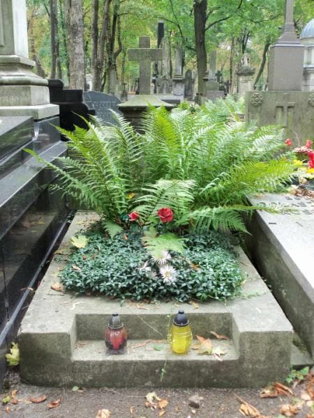 Zdjęcie grobu: Józef Antoni Maciejewski