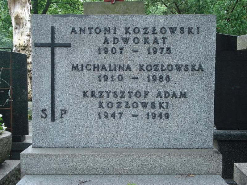 Zdjęcie grobu Michalina Kozłowska (2)