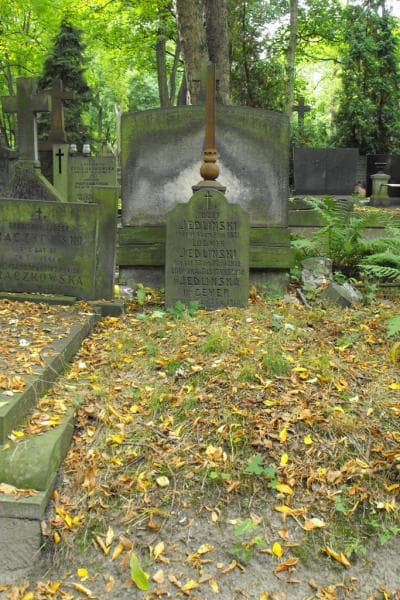 Zdjęcie grobu: Ludwik Jedliński
