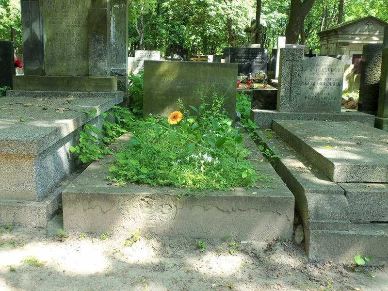 Zdjęcie grobu: Zdzisław Maliński