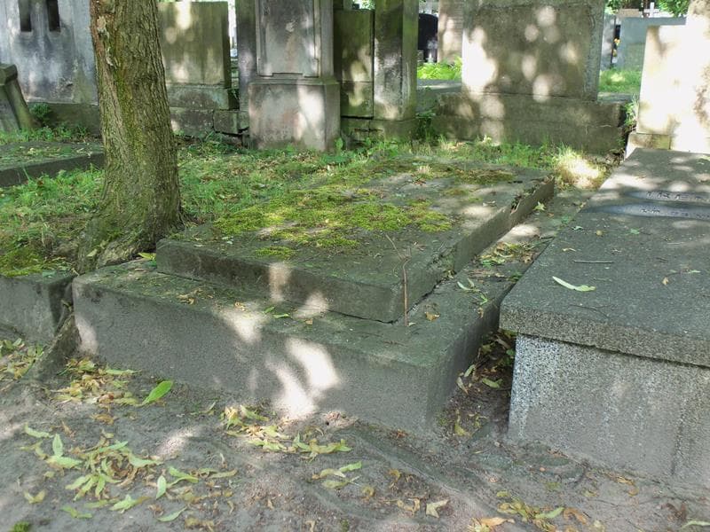 Zdjęcie grobu Wacław Krynkowski (2)
