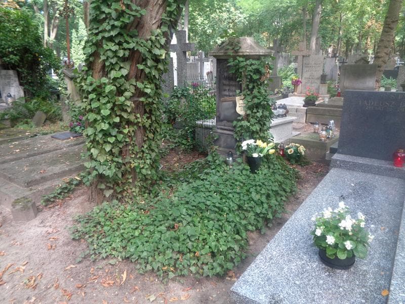 Zdjęcie grobu: Piotr Wolniak