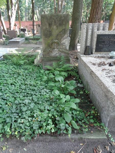 Zdjęcie grobu Zofja Bronerówna (1)