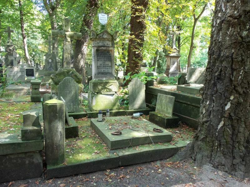 Zdjęcie grobu: Aleksandra Tuszyńska