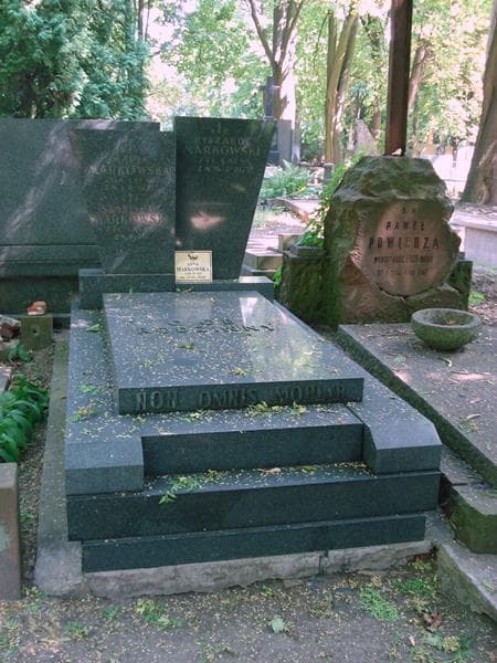 Zdjęcie grobu Stanisław Markowski (1)