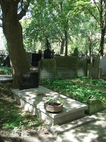 Zdjęcie grobu Stanisław Namiotkiewicz (1)