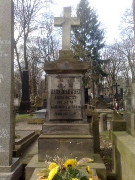 Zdjęcie grobu Juljusz Dzięciołowski (1)