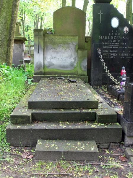 Zdjęcie grobu: Anna Górska