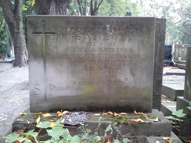 Zdjęcie grobu Wacława Jadwiga Książkiewicz (2)