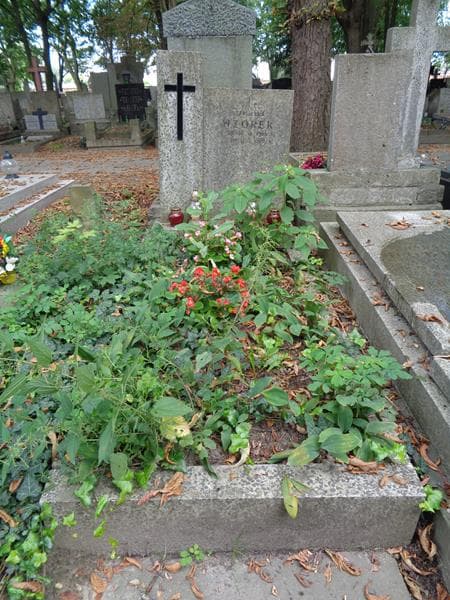 Zdjęcie grobu Stanisława Wzorek (1)
