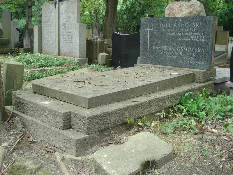 Zdjęcie grobu Józef Osmólski (1)