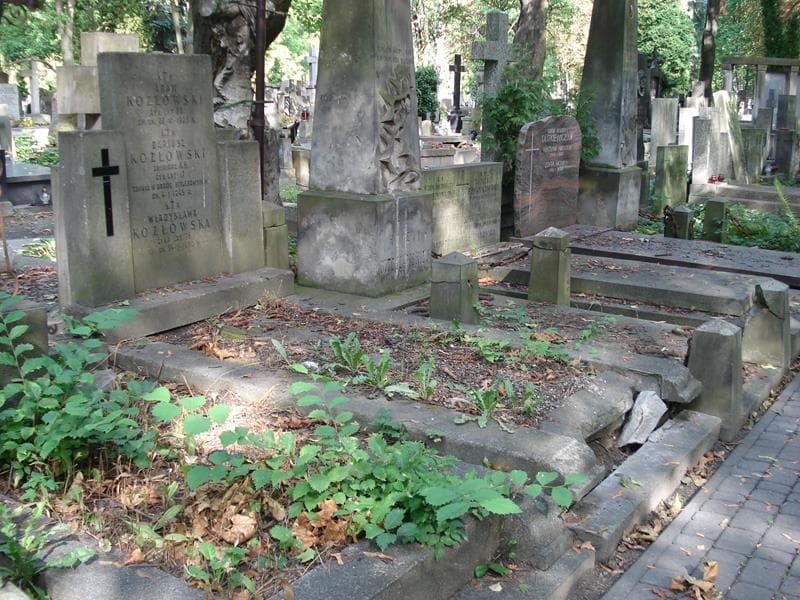 Zdjęcie grobu: Władysława Kozłowska