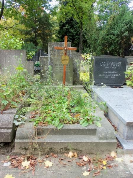 Zdjęcie grobu: Janina Bańkowska