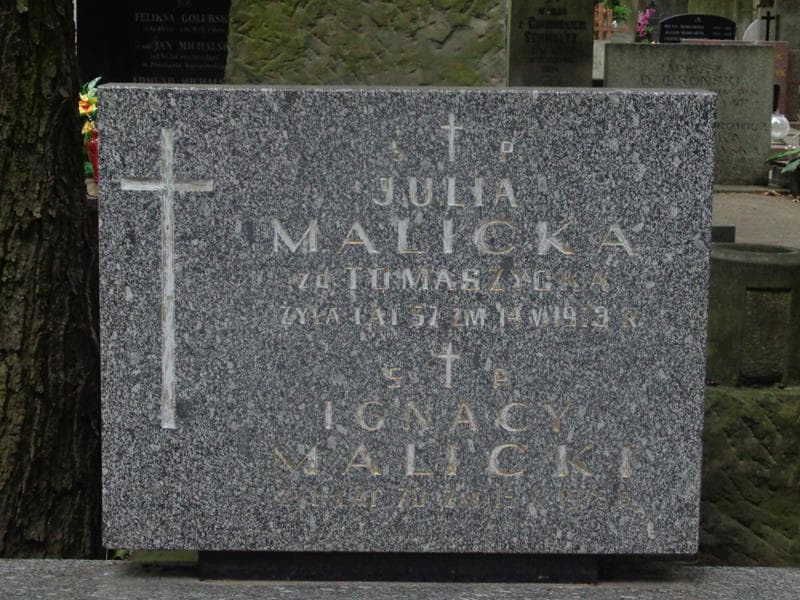 Zdjęcie grobu Ignacy Malicki (2)