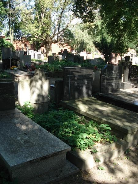 Zdjęcie grobu Ewa Brzozowska (1)