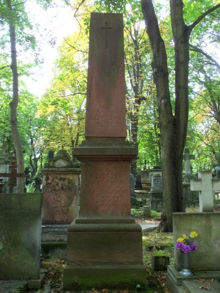 Zdjęcie grobu Aniela Wójcicka (2)