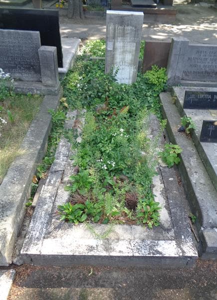 Zdjęcie grobu Kamila Kustrowa (1)