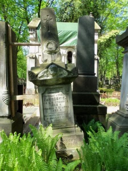 Zdjęcie grobu Agnieszka Zawodska (2)