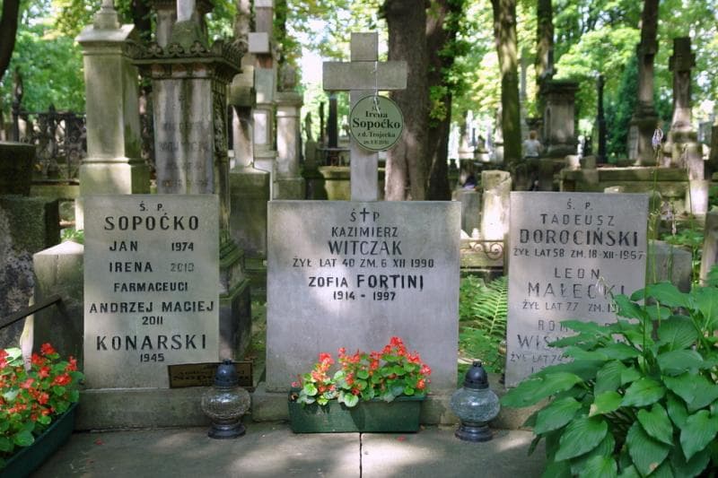 Zdjęcie grobu Zofia Fortini (2)