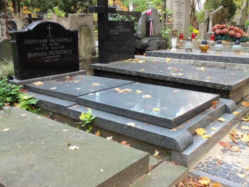 Zdjęcie grobu Stanisław Pietkiewicz (1)
